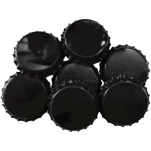 CORCHOLATA LISA NEGRA ABSORBENTE DE OXÍGENO BOLSA 100