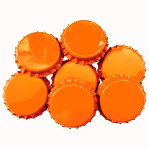 CORCHOLATA LISA NARANJA BOLSA 100