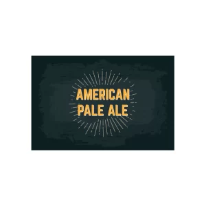 KIT AMERICAN PALE ALE