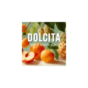 LÚPULO DOLCITA HBC 1019cv (2024) 11.3% A.A.