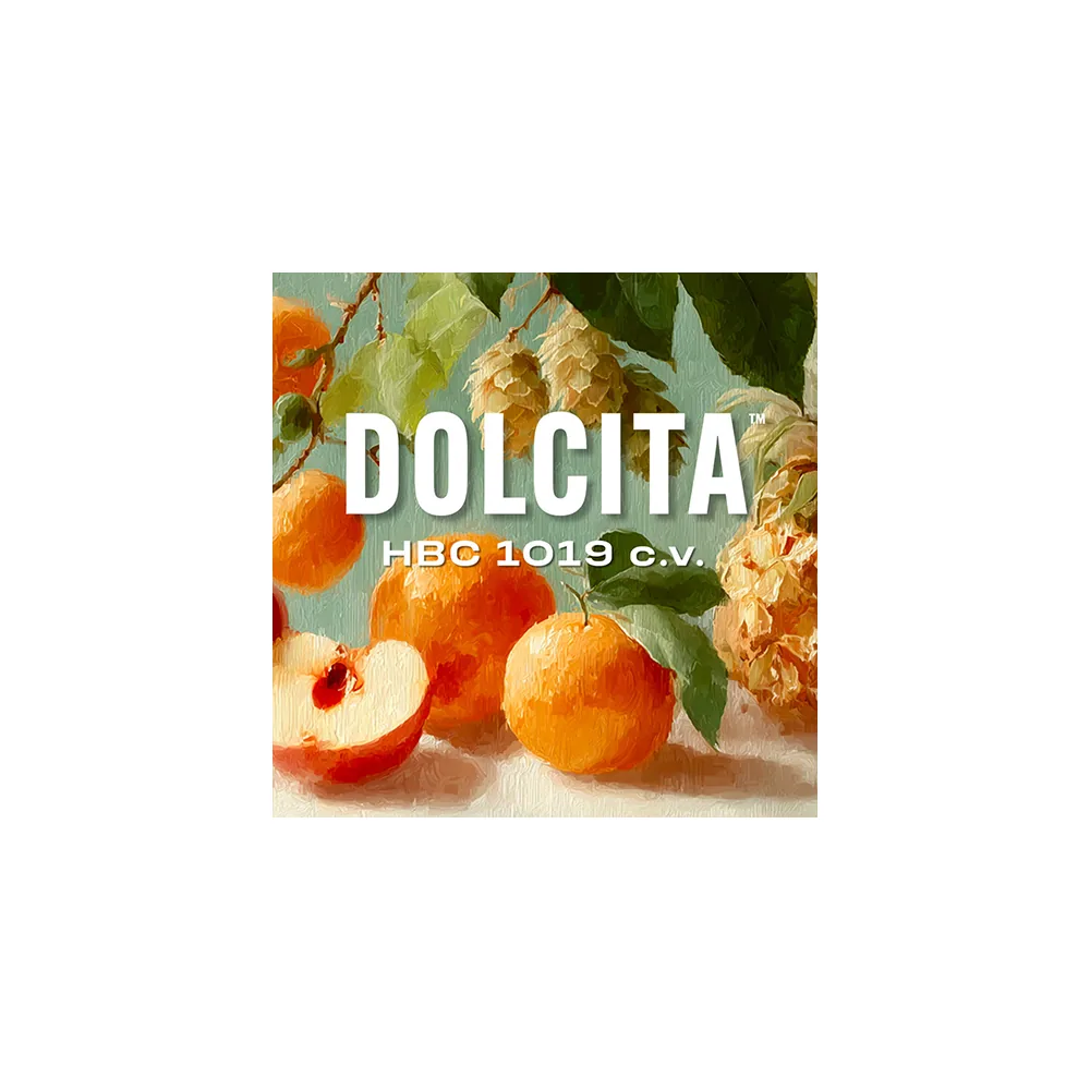 LÚPULO DOLCITA HBC 1019cv (2024) 11.3% A.A.