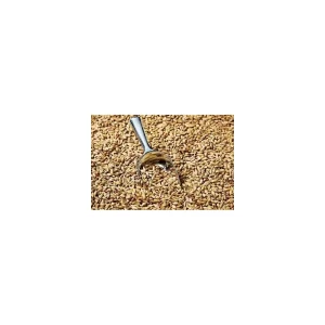 MALTA SW ALE SWAEN