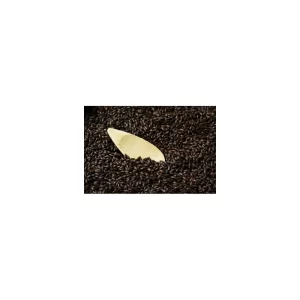 MALTA BS COFFEE SWAEN