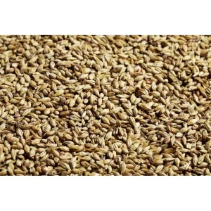 MALTA SW AMBER (Munich 20L) SWAEN