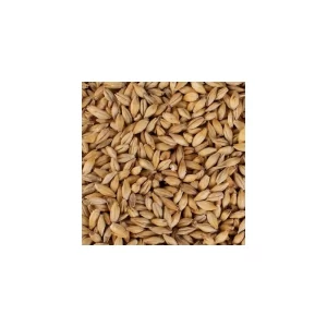 MALTA CARAPILS WEYERMANN