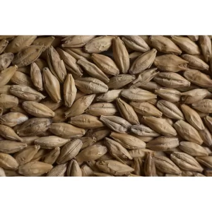 MALTA MARIS OTTER CASTLE MALTING
