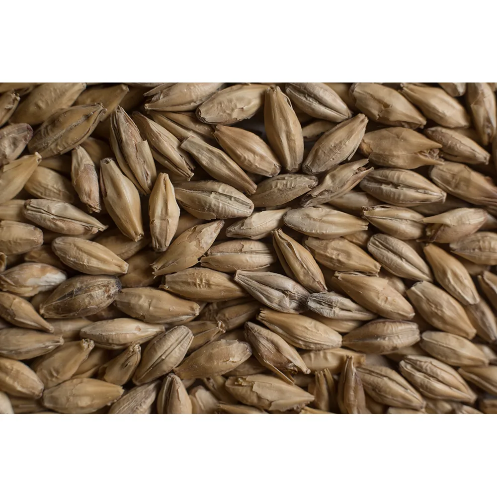 MALTA MARIS OTTER CASTLE MALTING