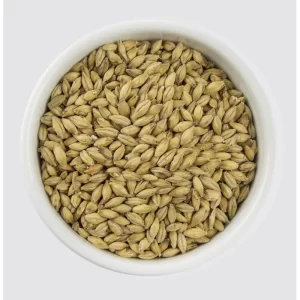 MALTA MARIS OTTER MUNTONS