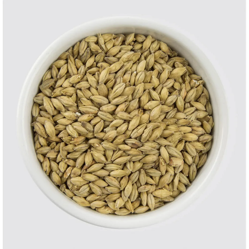 MALTA MARIS OTTER MUNTONS