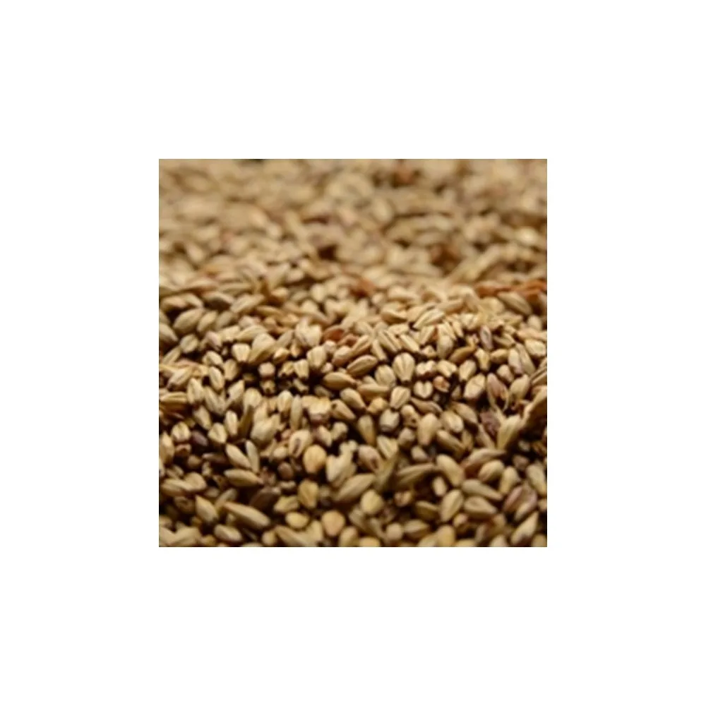 MALTA CARAMEL 20 BRIESS
