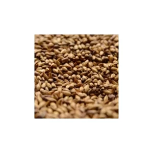 MALTA CARAMEL 120 BRIESS