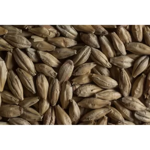 MALTA MUNICH CASTLE MALTING