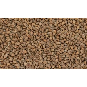 MALTA WHEAT MALTEUROP