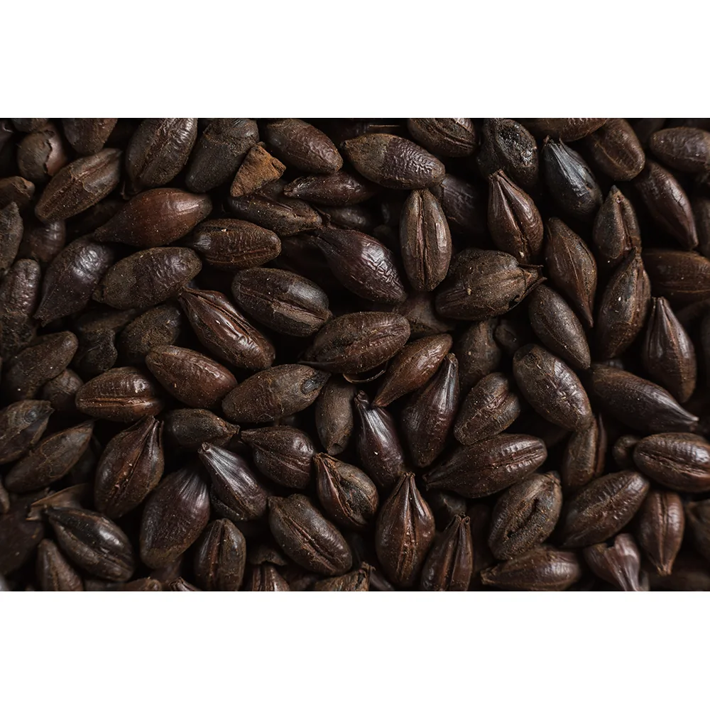 ROASTED BARLEY SIMPSONS