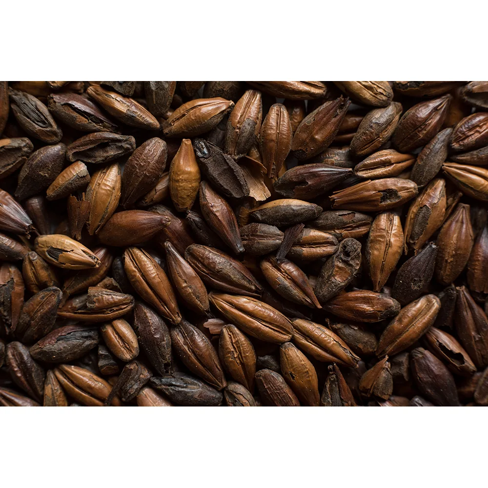 MALTA CHOCOLAT CASTLE MALTING