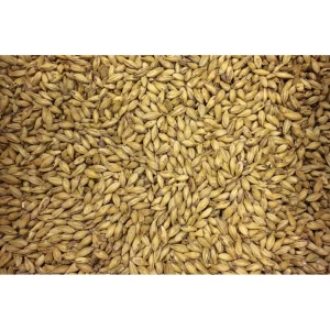 MALTA BS HONEY BISCUIT SWAEN