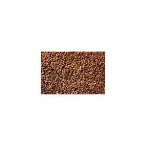 MALTA GS BROWN SWAEN