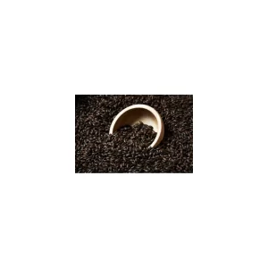 MALTA BS BARLEY (ROASTED BARLEY) SWAEN