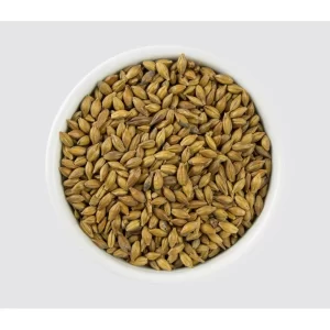 MALTA BROWN MUNTONS