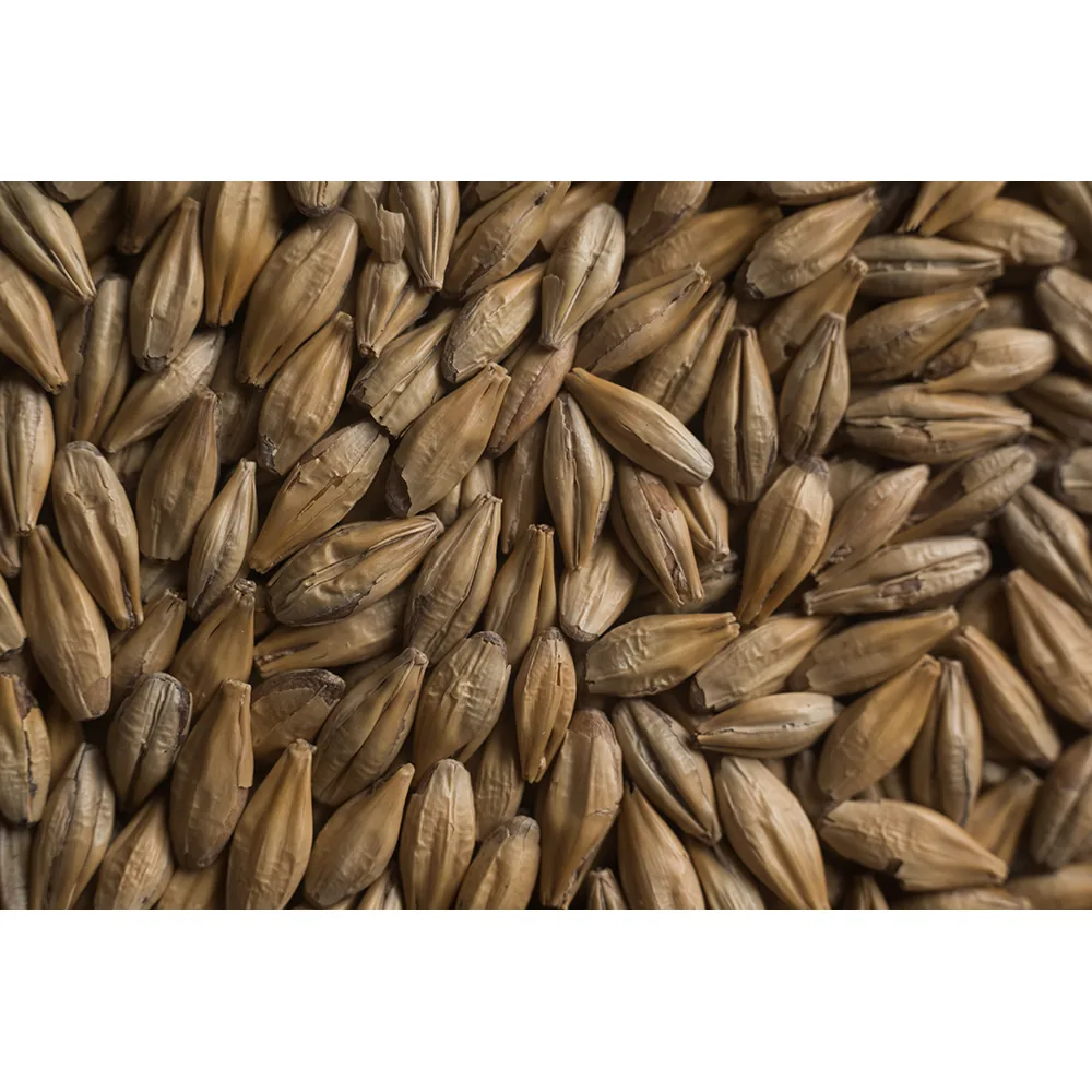 MALTA CARA BLOND CASTLE MALTING (CARAMEL 10°L)