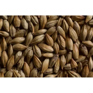 MALTA CARA GOLD CASTLE MALTING (CARAMEL 50°L)