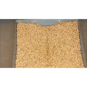 SERVICIO DE MOLIENDA DE MALTAS